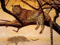 leopardo 20